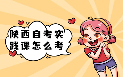 陜西自考實踐課怎么考