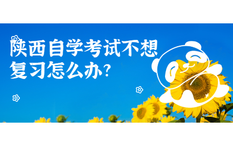 陜西自學(xué)考試不想復(fù)習(xí)怎么辦?