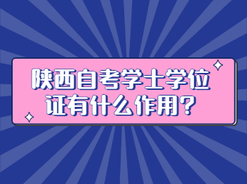陜西自考學士學位